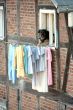 laundry and dog