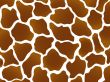 Giraffe marking