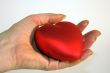 The heart in the hand