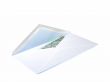 money in envelope