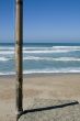 Watching the sea