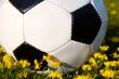 Soccer ball