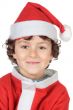 Adorable small santa
