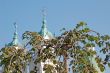 green leaves on green cupola