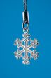 Silver snowflake