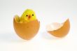 Easter chicken