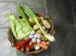 vegetables