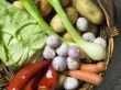 vegetables