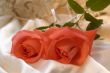 Red rose with silver ribbon