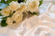 White wedding rose on silk background