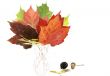Colorful fall leafs solated