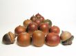 Acorn over white
