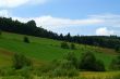 Mountain Meadow