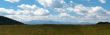 Panoramic meadow
