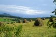 Harvest in mountain