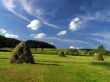 Sky and meadow