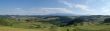 Panoramic meadow