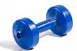 2.5 lb Blue Dumbell