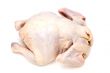 raw chicken on white