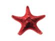Starfish