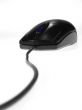 Black mouse