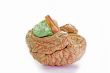 Human Brain