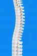Backbone in Detail