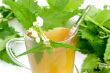 Stinging nettle