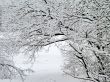 Winter ornament