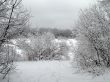 Winter ornament