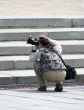  photographer.