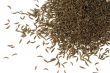 Caraway seed