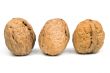 Big nuts