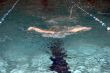 butterfly swimmer