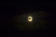 The moon