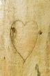 Heart of love