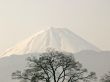 mt.Fuji view