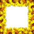 Sunflowers frame on white