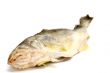 fresh fish