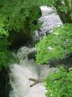 summer waterfall