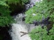 fresh water stream