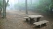 wooden bench in misty park