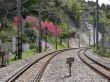 empty railway road background