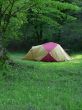 camp in summer forest