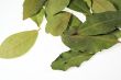 Laurel leafs