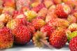 Wild strawberry