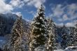 Winter Skys