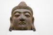 Buddha`s head