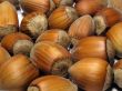 Hazelnuts