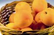 Apricot